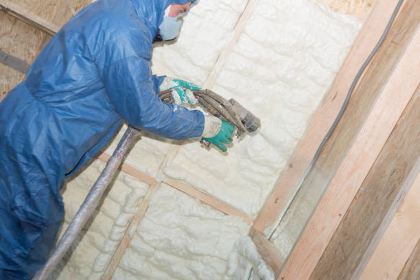 Best Wall Insulation Installation  in Northville, MI